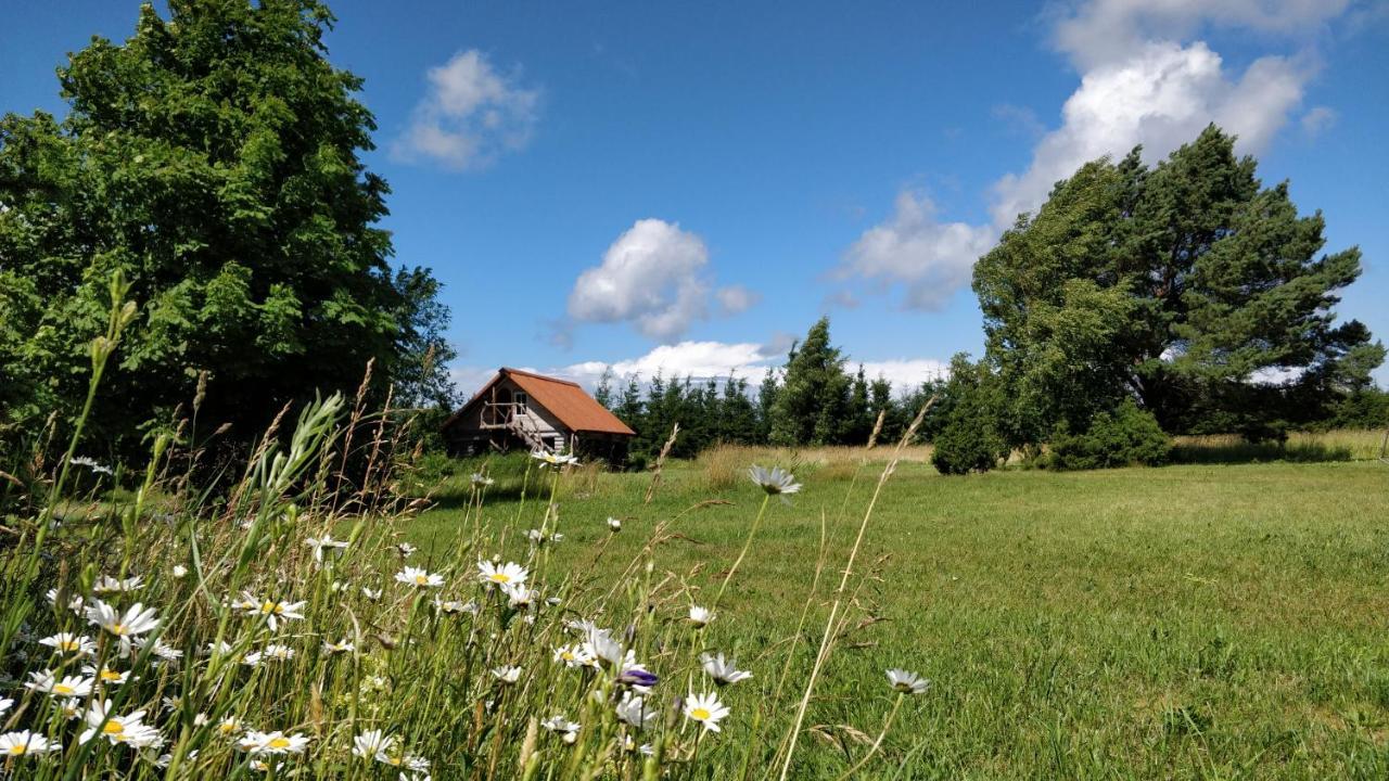 Hotel Suurekivi Kuelalistemaja Reigi Exteriér fotografie